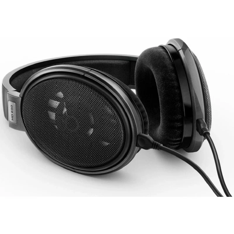 Vue de la grille métallique acoustique du Sennheiser HD 650 montrant la conception ouverte.