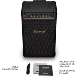 Vue arrière de la Marshall Bromley 750 montrant les entrées RCA et Micro/Guitare.