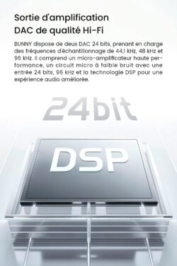 Le connecteur USB-C avec puce DSP intégrée.